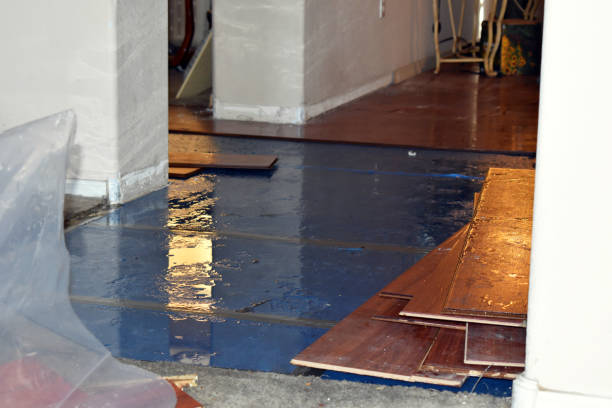 Professional Flood Damage Restoration technician working in Chatham, NJ